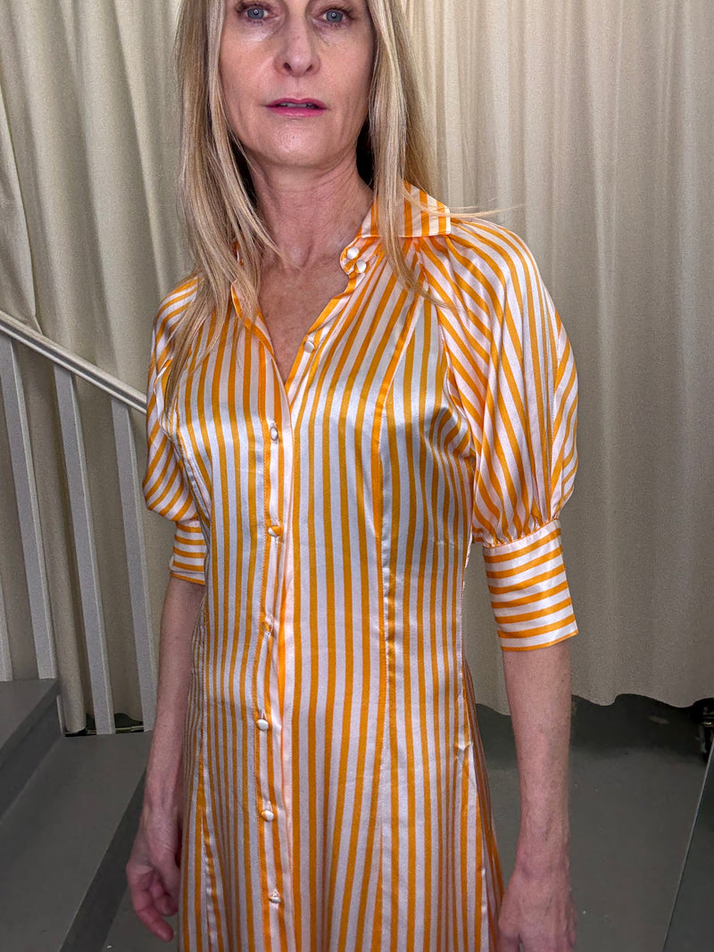 Maggie Marilyn Silk Dress Sz6